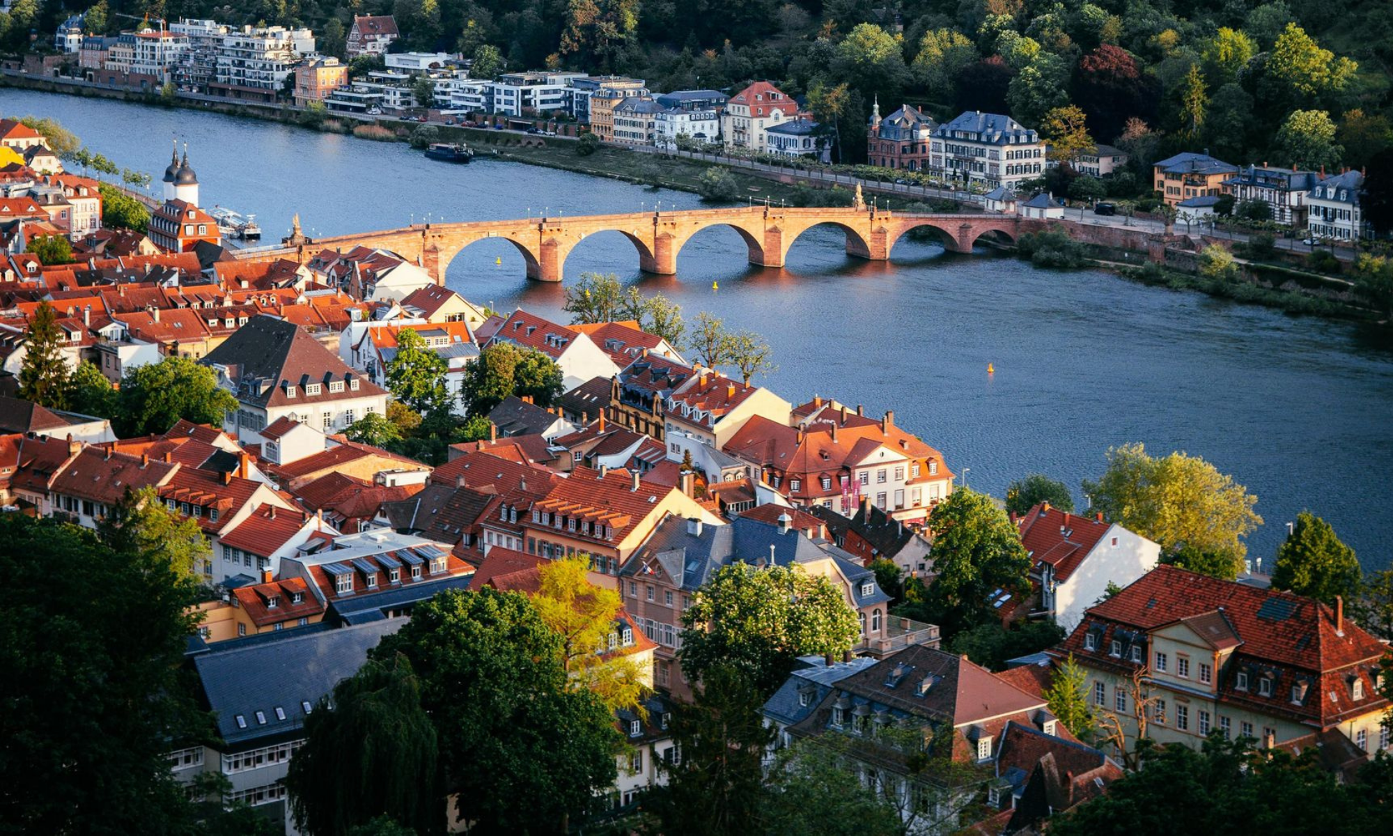 Webinaire sur politique énergétique en Allemagne.